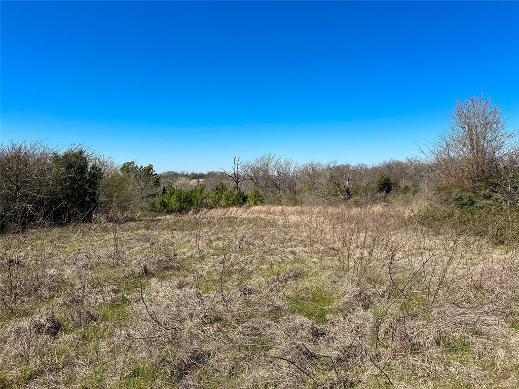 Na Cr 348, Marquez, Texas image 3
