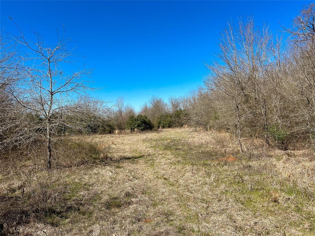 Na Cr 348, Marquez, Texas image 8