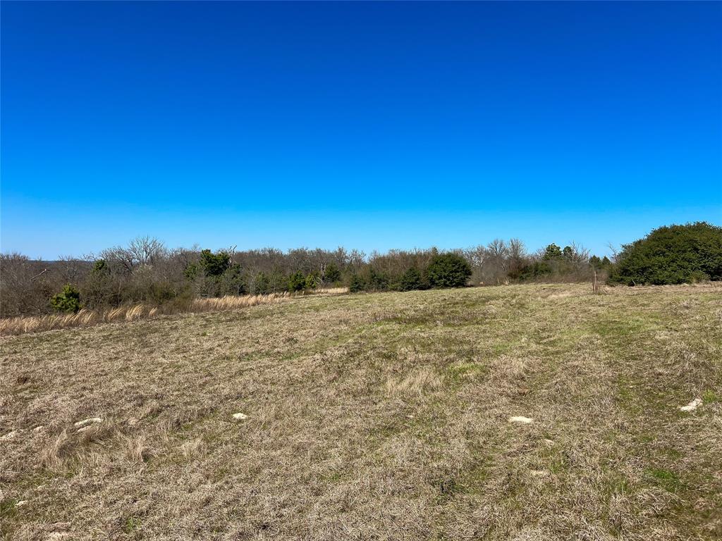 Na Cr 348, Marquez, Texas image 4