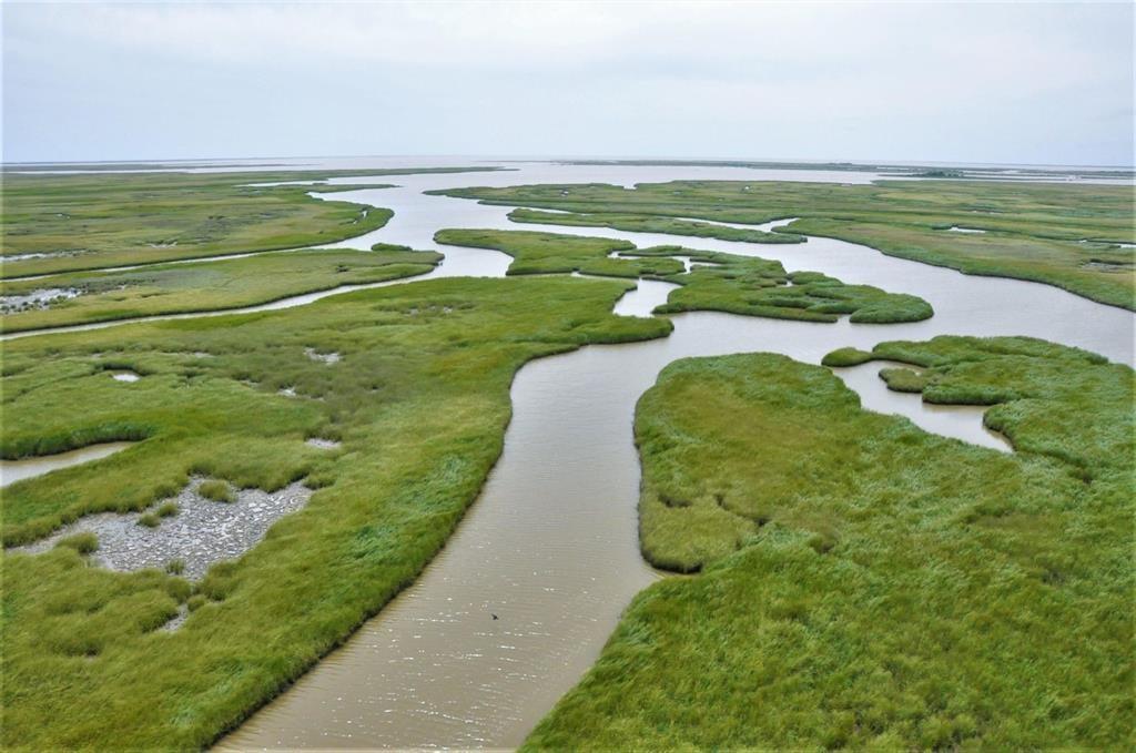 Fm 2031 Beach Road, Matagorda, Texas image 8