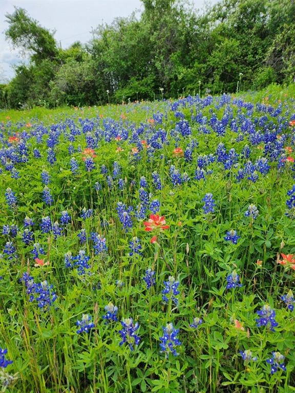 5363 E Us Hwy 90, Waelder, Texas image 7