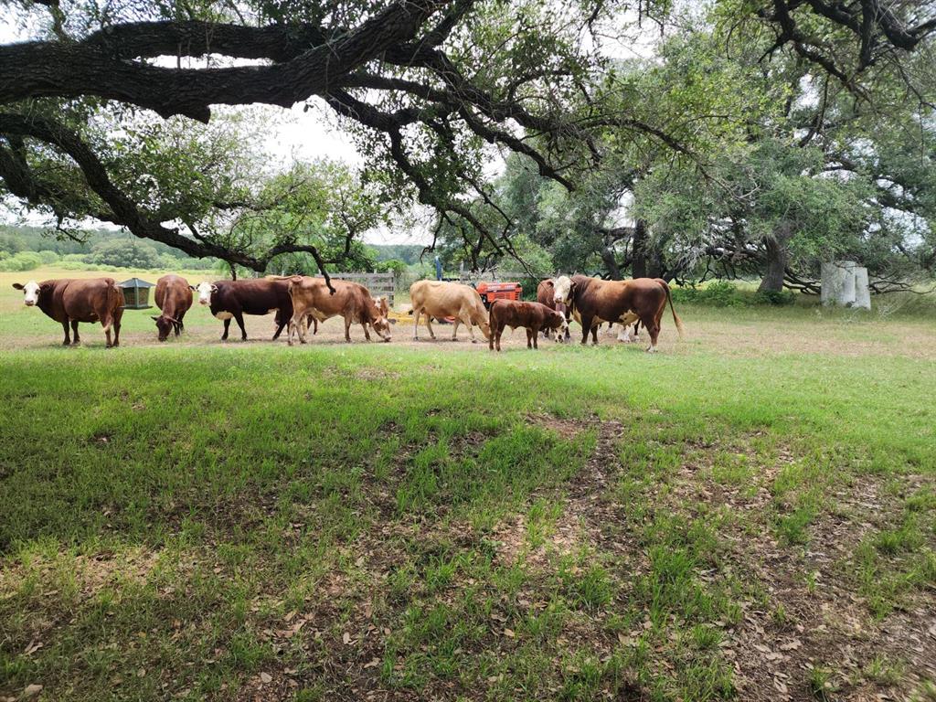 5363 E Us Hwy 90, Waelder, Texas image 18