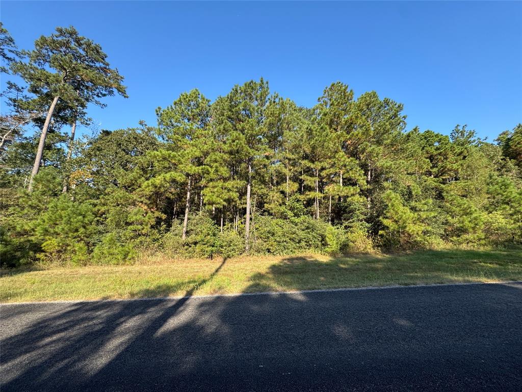 1-1-51 Saddle Ridge Drive, Huntsville, Texas image 9