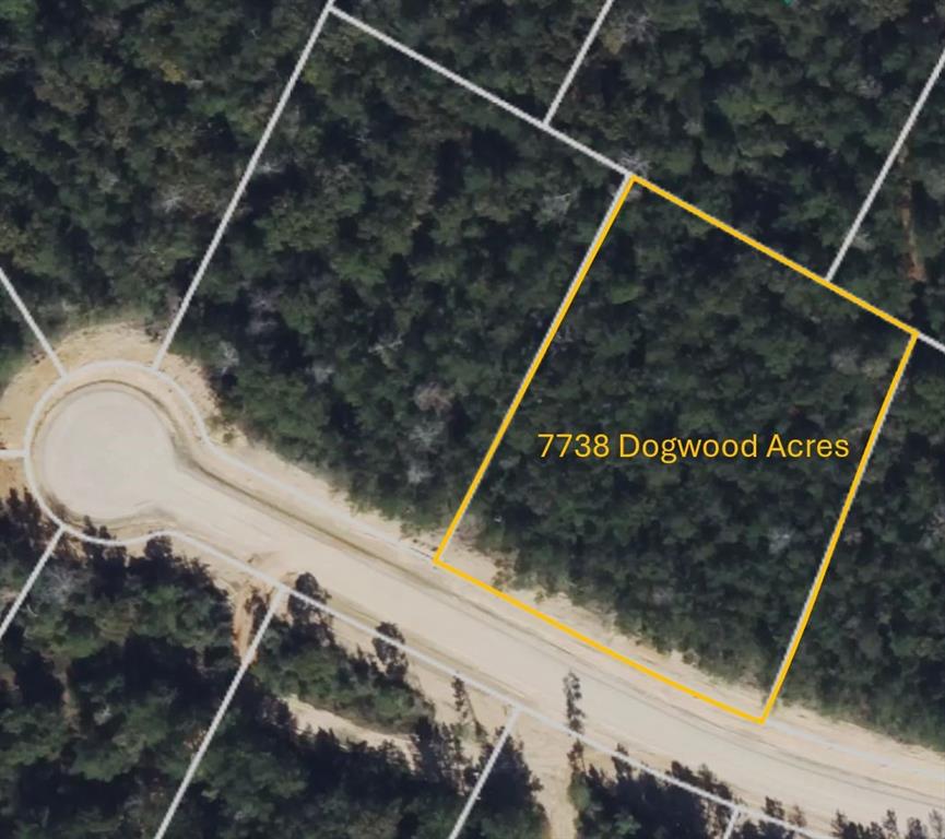 7738 Dog Wood Acres Drive, Montgomery, Texas image 1