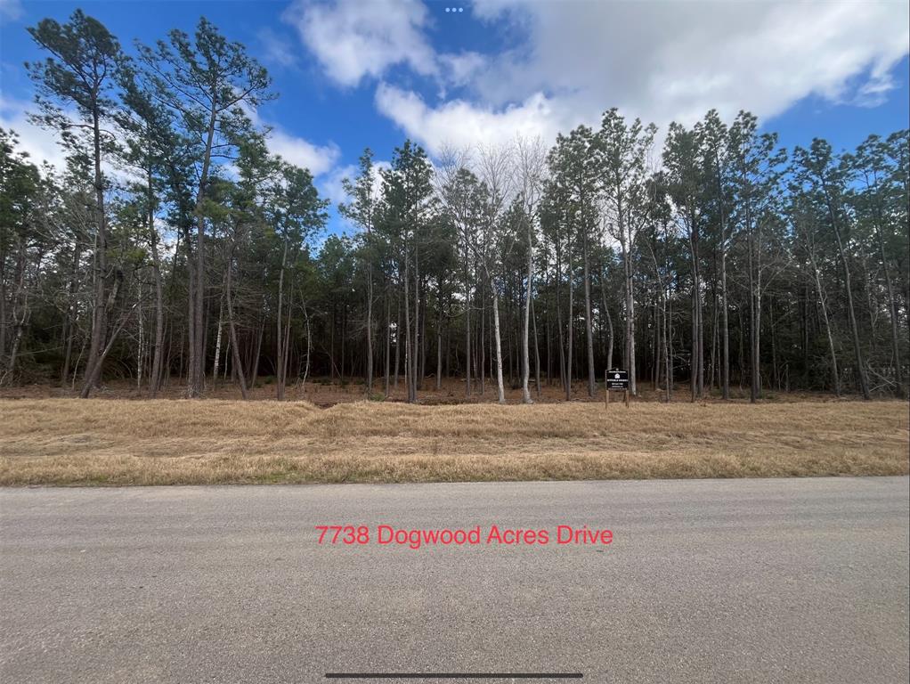 7738 Dog Wood Acres Drive, Montgomery, Texas image 3