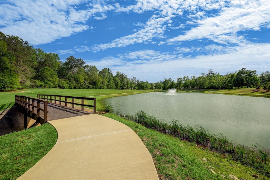 7738 Dog Wood Acres Drive, Montgomery, Texas image 7
