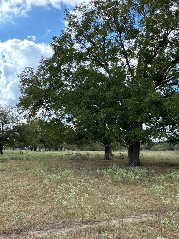 470 Glass Lane, Bastrop, Texas image 35