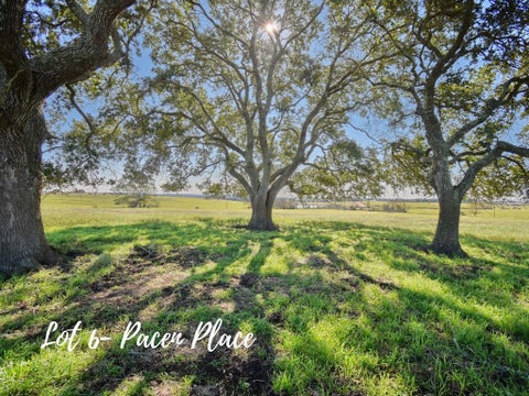 Vacant Land For Sale - TBD 6 Pacen Place<br/> Chappell Hill, TX 77426