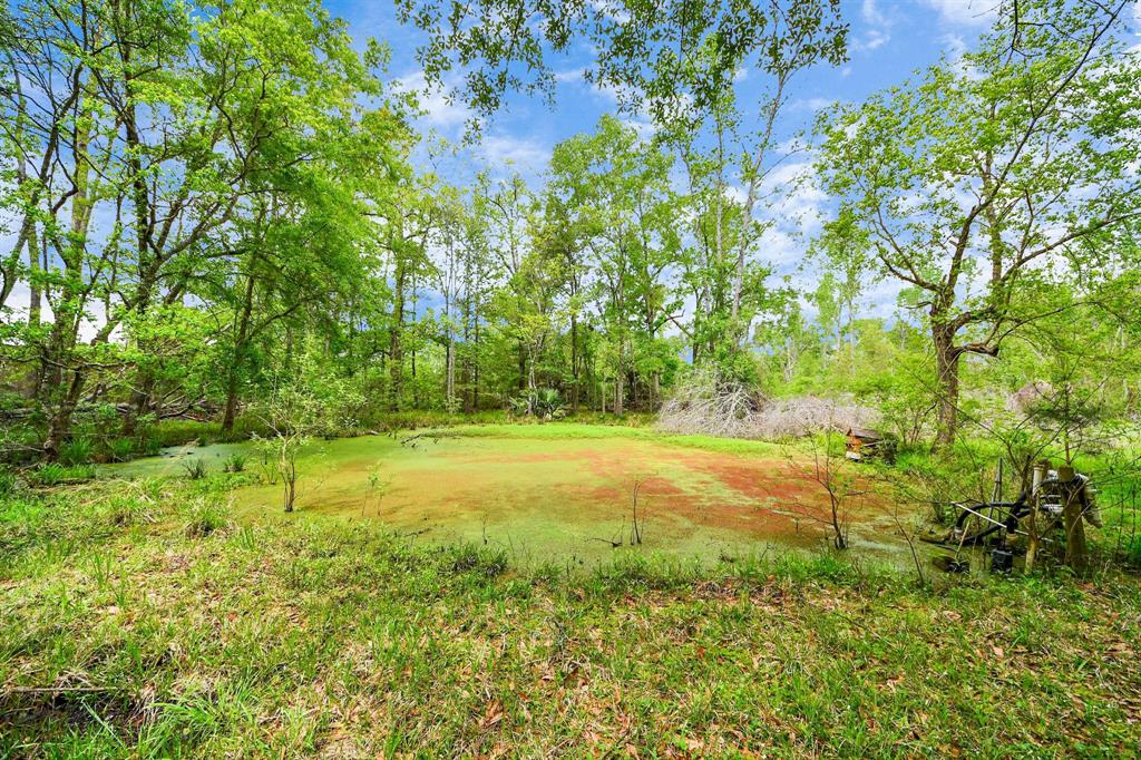 17036 Ranch Court, New Caney, Texas image 27