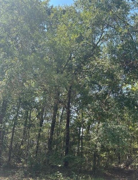 Photo of 0 Forester, Livingston, TX 77351 (MLS # 34191170)