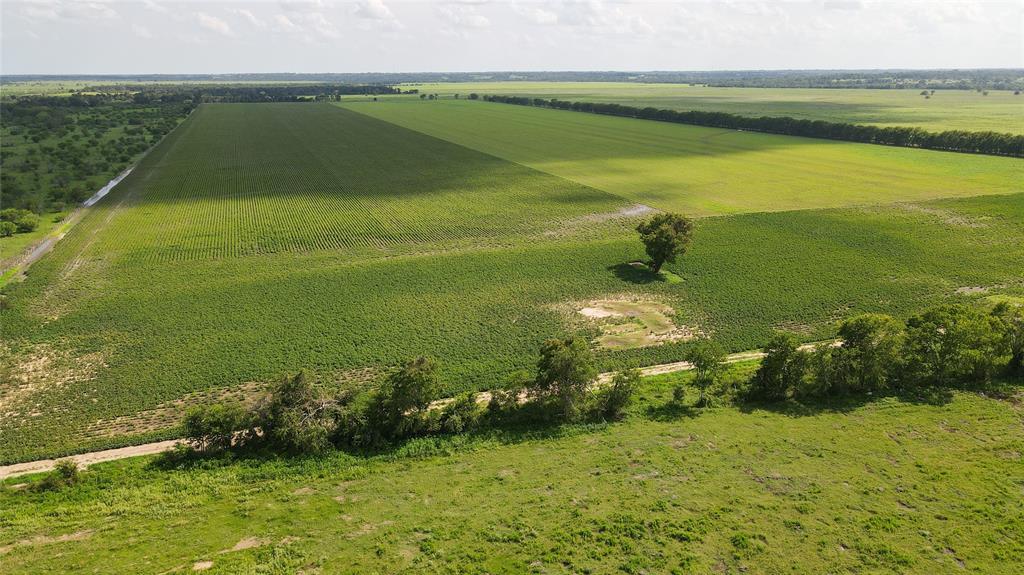 00 Felder Road, Washington, Texas image 8