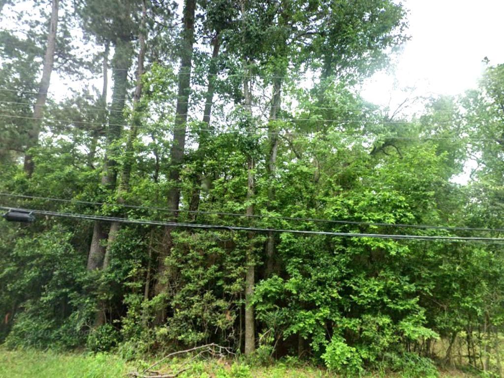 Hillendale Drive, Livingston, Texas image 1