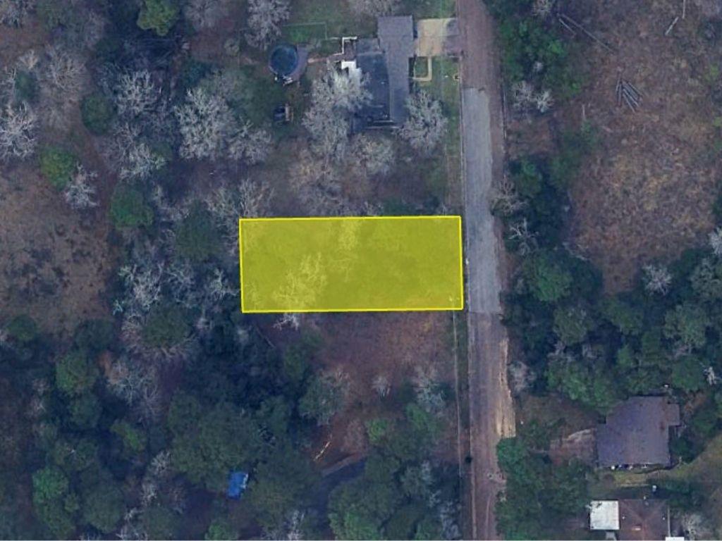 Hillendale Drive, Livingston, Texas image 4