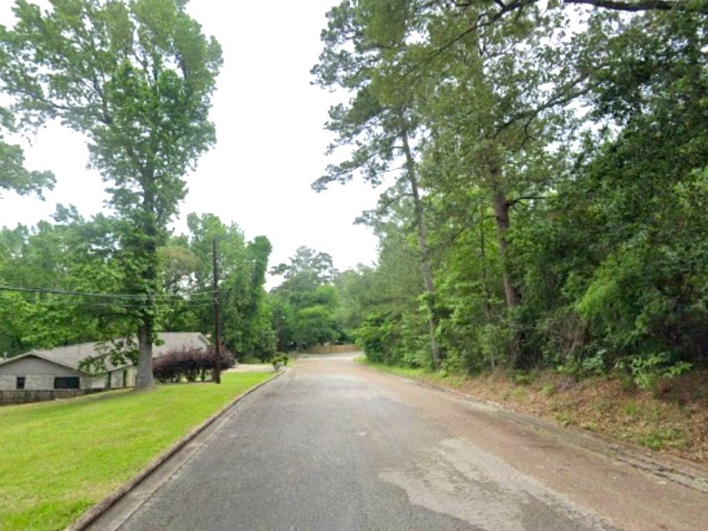 Hillendale Drive, Livingston, Texas image 2