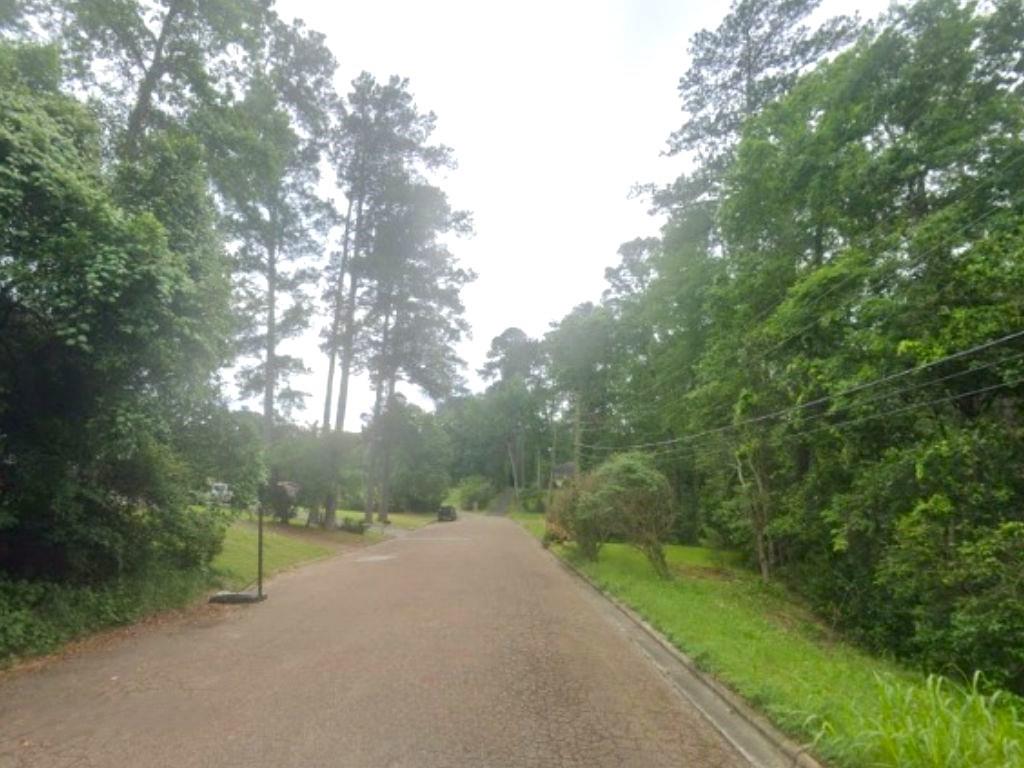 Hillendale Drive, Livingston, Texas image 3