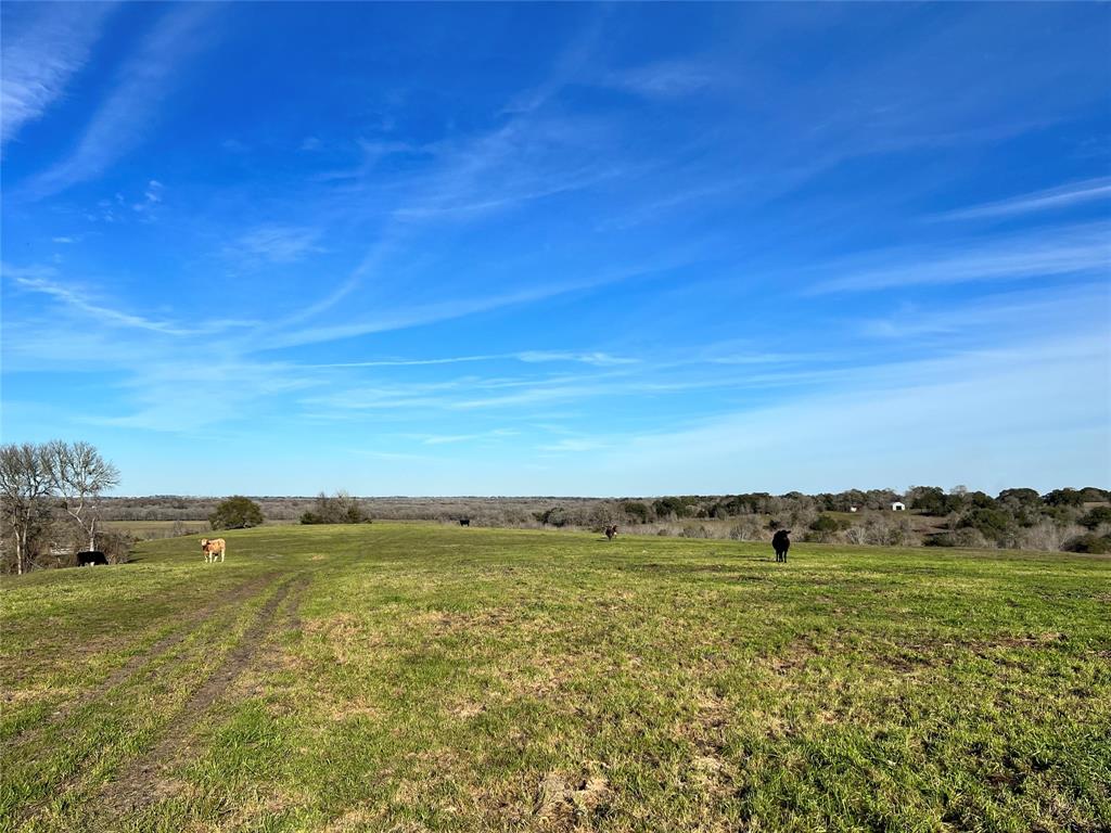 9785 Oil Field Road Rd, Brenham, Texas image 8