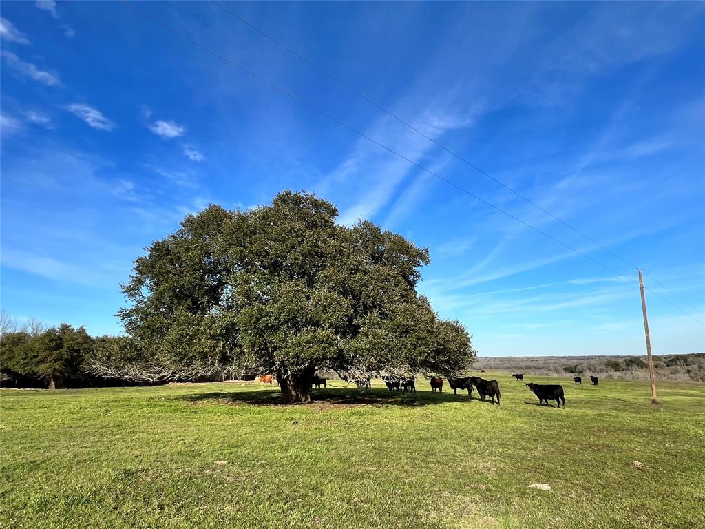 9785 Oil Field Road Rd, Brenham, Texas image 1