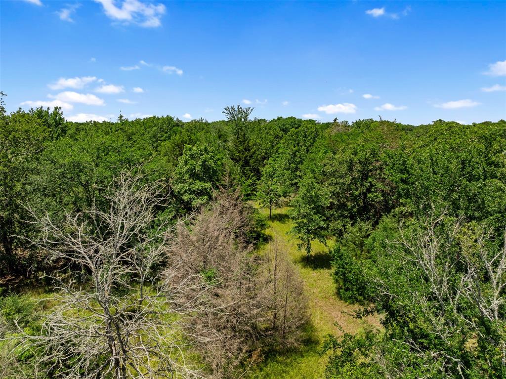0000 Whispering Oaks Drive, College Station, Texas image 11