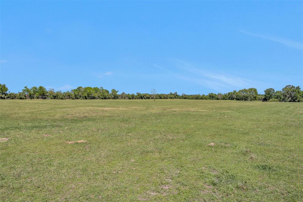 29210 Walker Lane Ln, Fulshear, Texas image 20