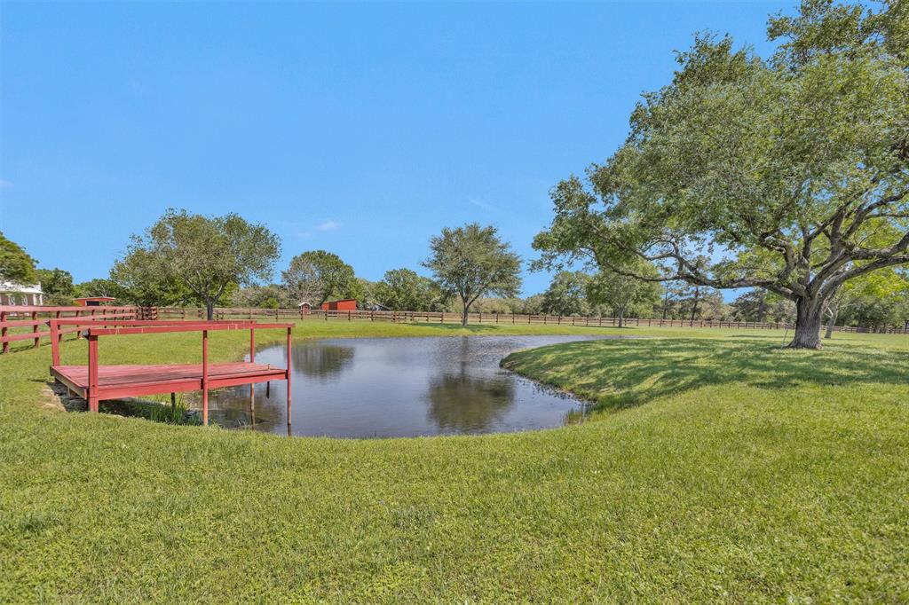 29210 Walker Lane Ln, Fulshear, Texas image 4