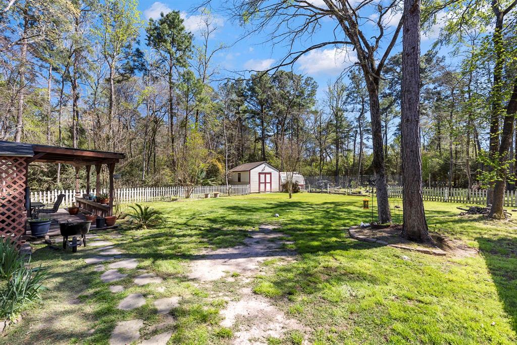 9219 Sendera Drive, Magnolia, Texas image 21