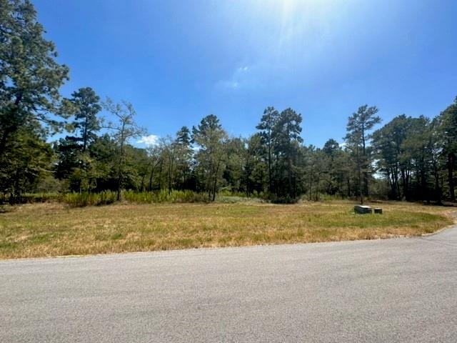 TBD Westview - 20 Acres, Huntsville, Texas image 9