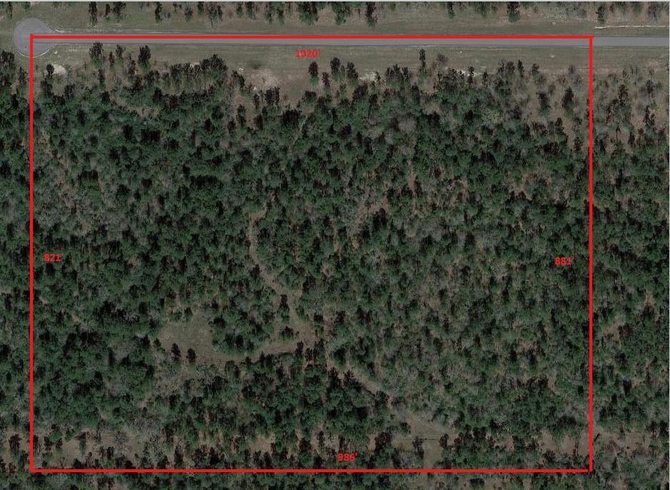 TBD Westview - 20 Acres, Huntsville, Texas image 3