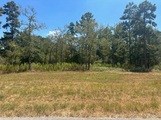 TBD Westview - 20 Acres, Huntsville, Texas image 10