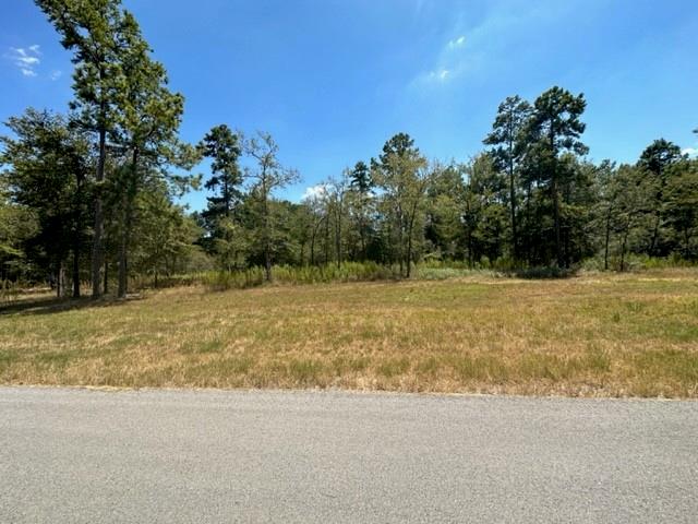 TBD Westview - 20 Acres, Huntsville, Texas image 11