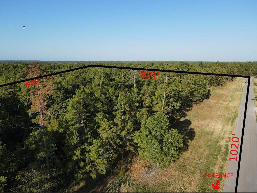 TBD Westview - 20 Acres, Huntsville, Texas image 7