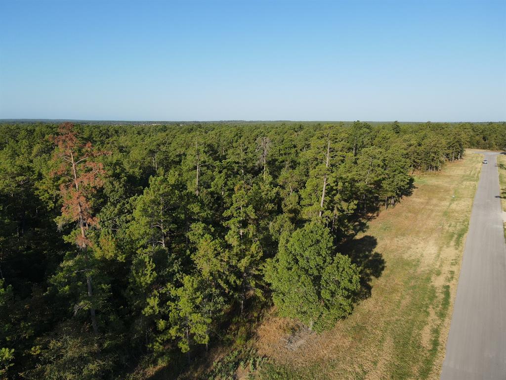 TBD Westview - 20 Acres, Huntsville, Texas image 5