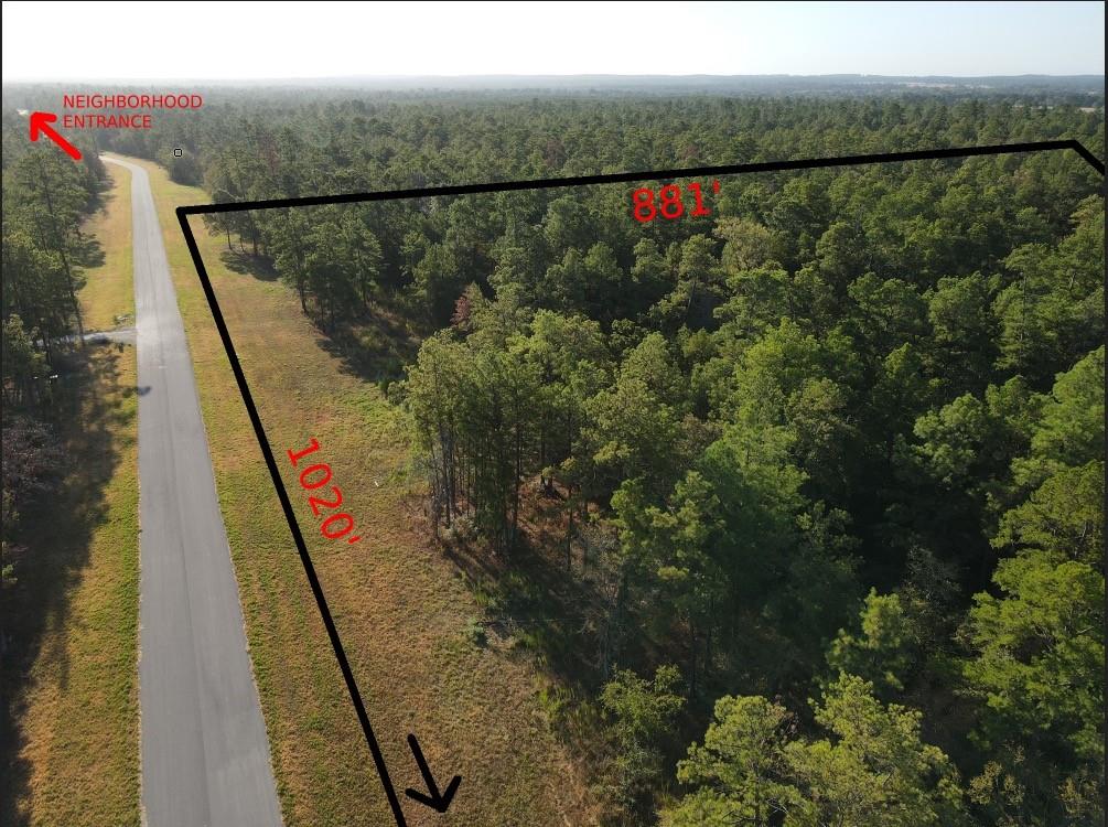 TBD Westview - 20 Acres, Huntsville, Texas image 8