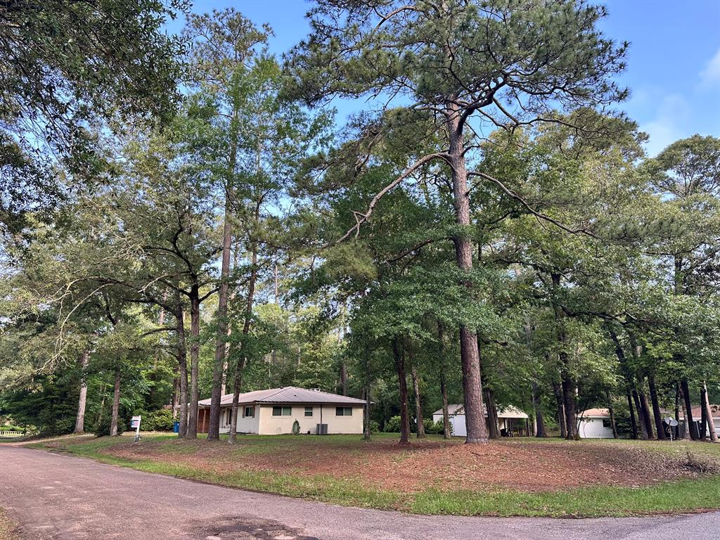 102 Ash Lane, Village Mills, Texas image 4