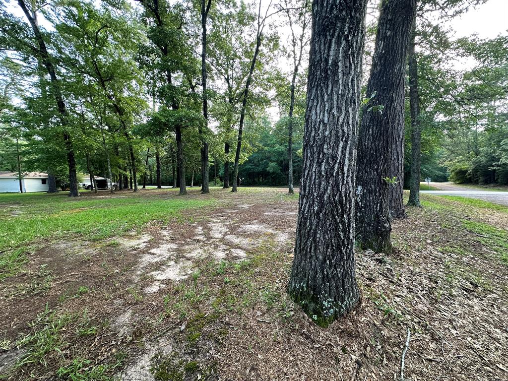 102 Ash Lane, Village Mills, Texas image 10