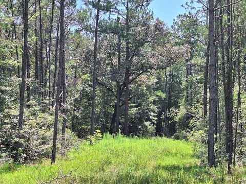 Photo of 6851 Private Road 8235, Buna, TX 77612 (MLS # 13392708)