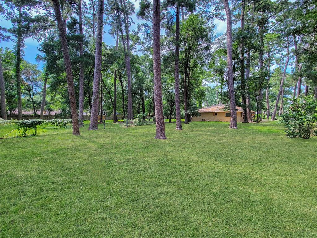 12119 A Beverly Drive, Houston, Texas image 4