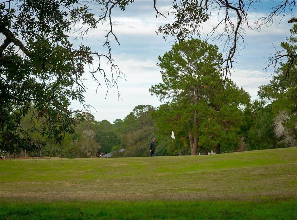 TBD Augusta Drive, Trinity, Texas image 15