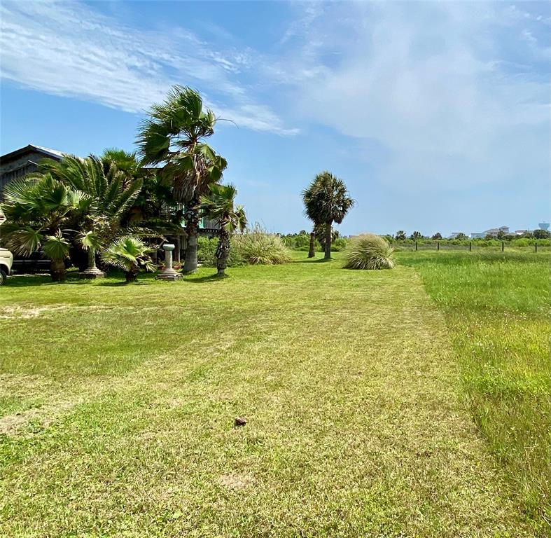3919 First Street, Galveston, Texas image 8