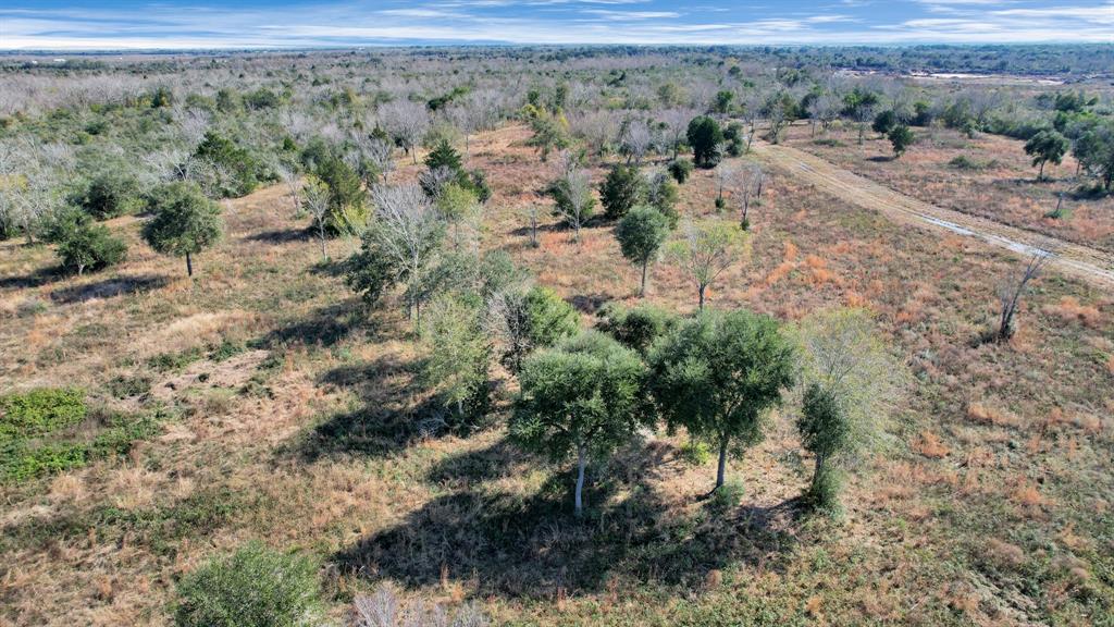 10 Fm 2403, Alvin, Texas image 10
