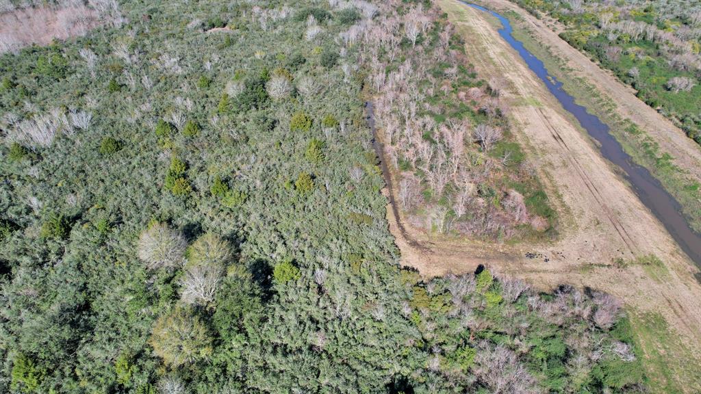 10 Fm 2403, Alvin, Texas image 34