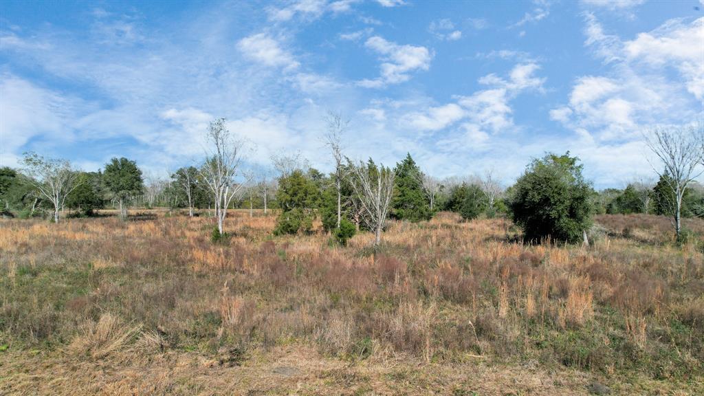 10 Fm 2403, Alvin, Texas image 43