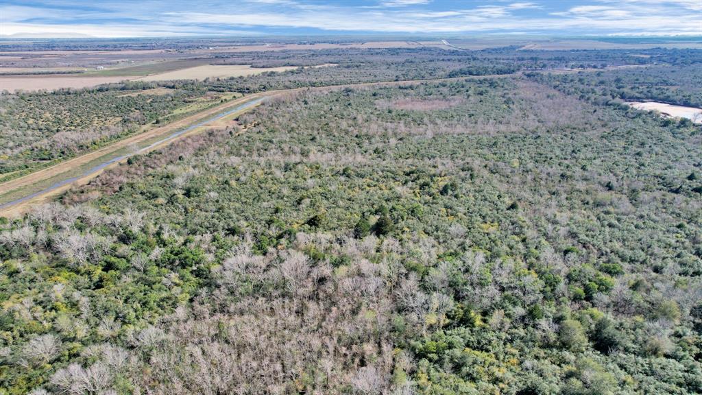 10 Fm 2403, Alvin, Texas image 37