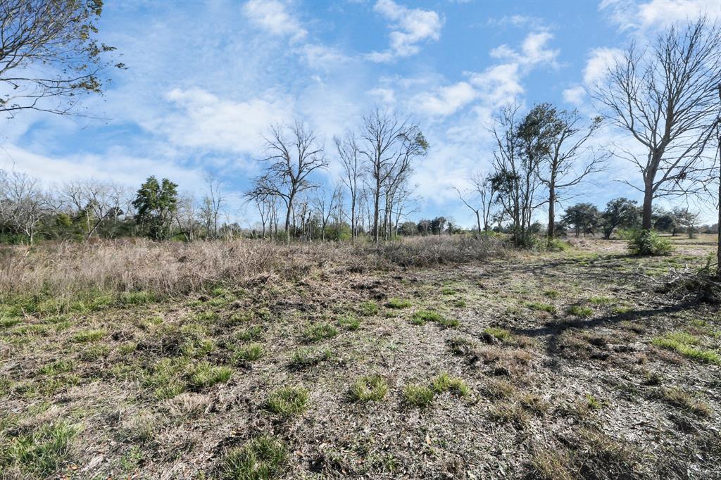 10 Fm 2403, Alvin, Texas image 22