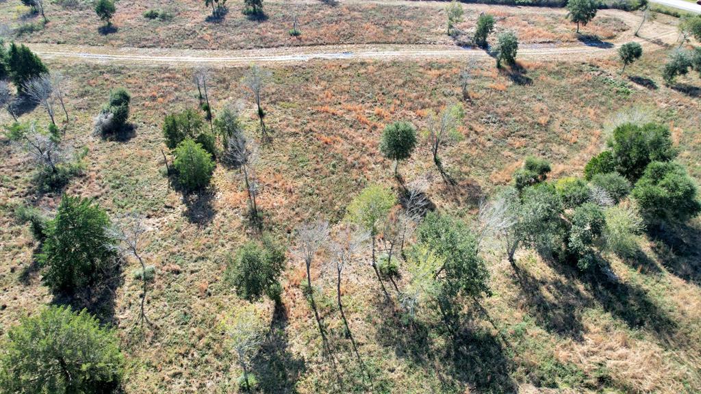 10 Fm 2403, Alvin, Texas image 9