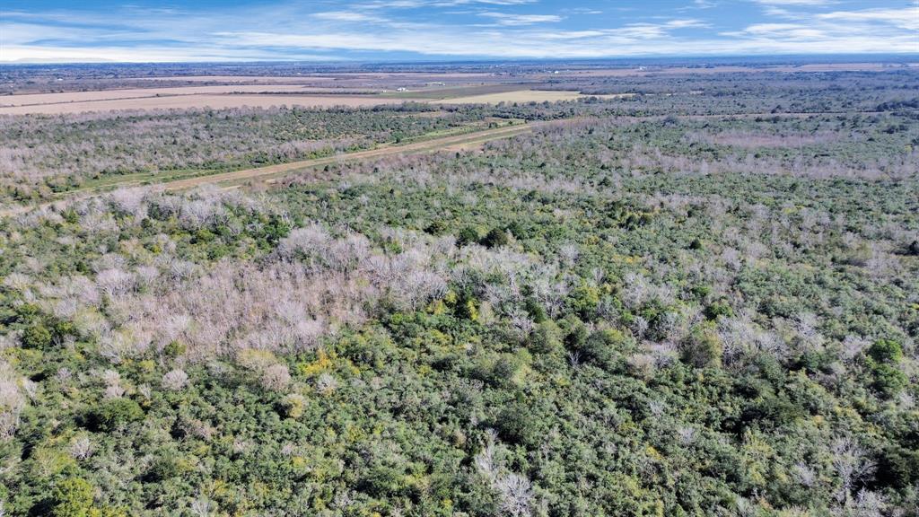 10 Fm 2403, Alvin, Texas image 11