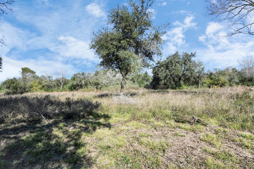 10 Fm 2403, Alvin, Texas image 41