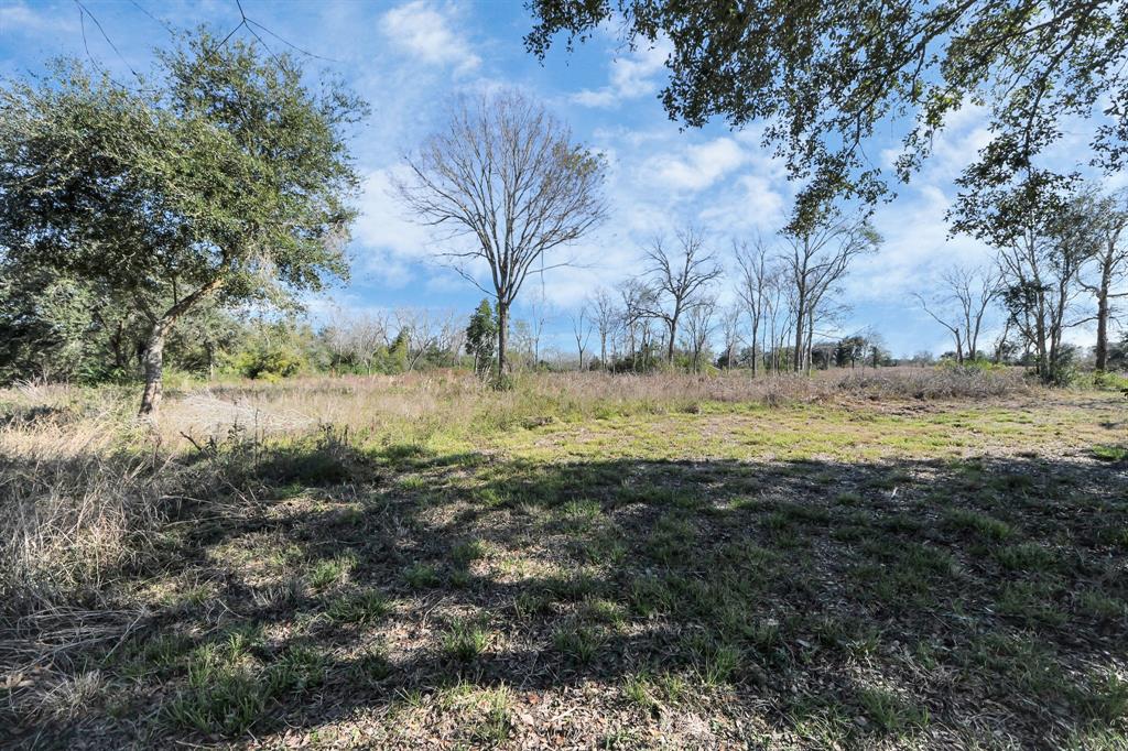 10 Fm 2403, Alvin, Texas image 46