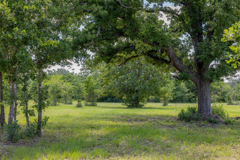 6748 Atakapan Trail, Bedias, Texas image 1
