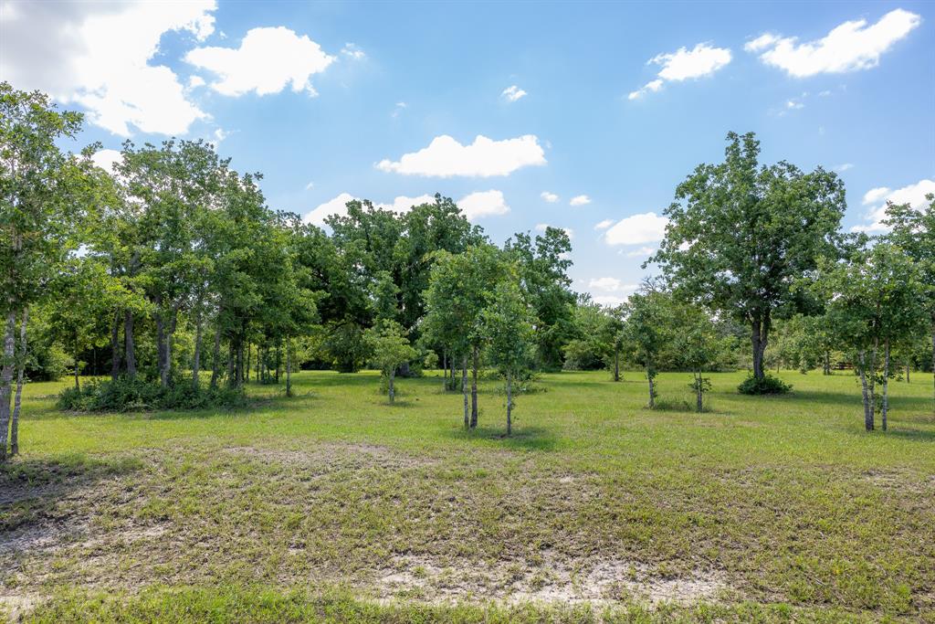 6748 Atakapan Trail, Bedias, Texas image 3