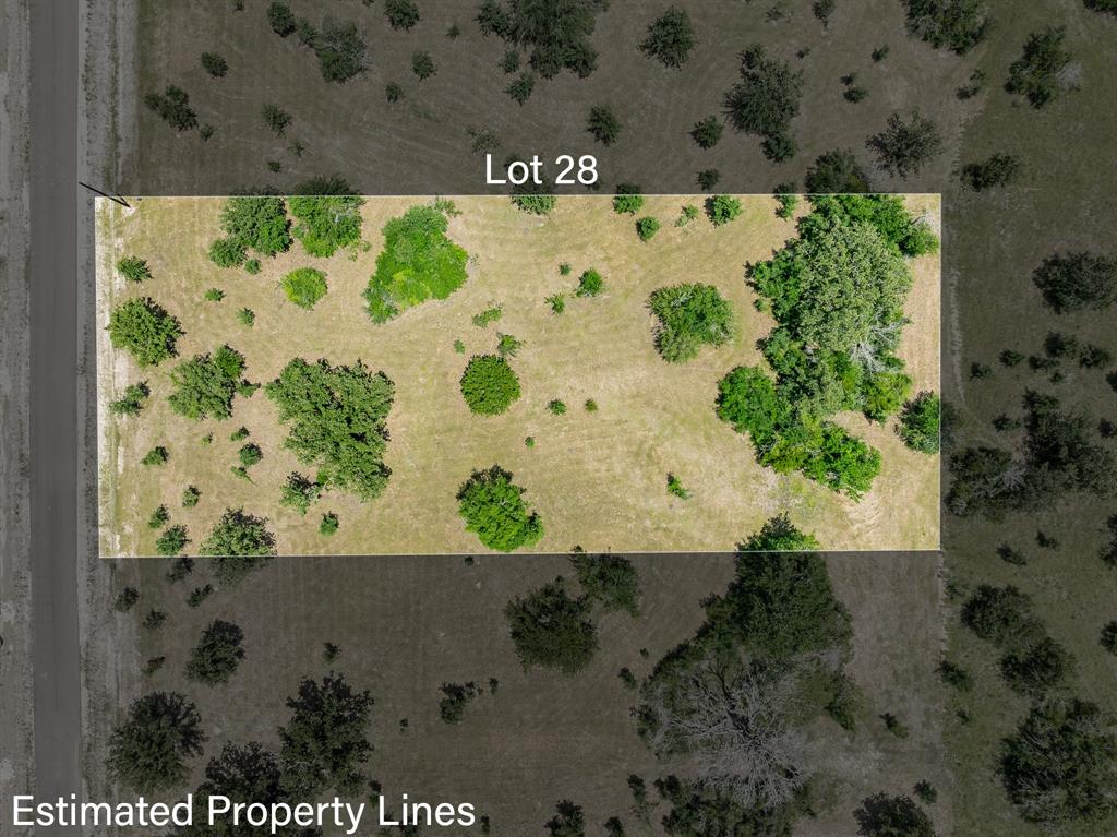 6748 Atakapan Trail, Bedias, Texas image 10
